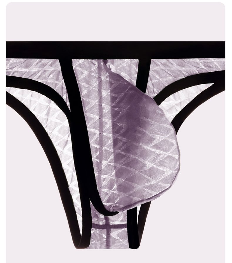 Men's Sexy Low-Rise Comfort Bikini Ice Silk Mesh Transparent Ultra-Thin Briefs