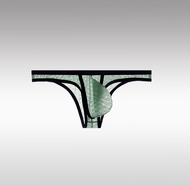 Men's Sexy Low-Rise Comfort Bikini Ice Silk Mesh Transparent Ultra-Thin Briefs