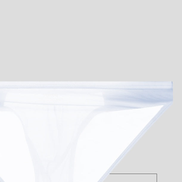 Men's Sexy Transparent Panties