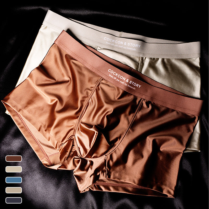 🔥🔥Men's Satin Ice Silk Briefs