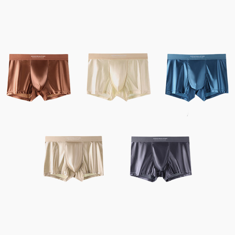 🔥🔥Men's Satin Ice Silk Briefs