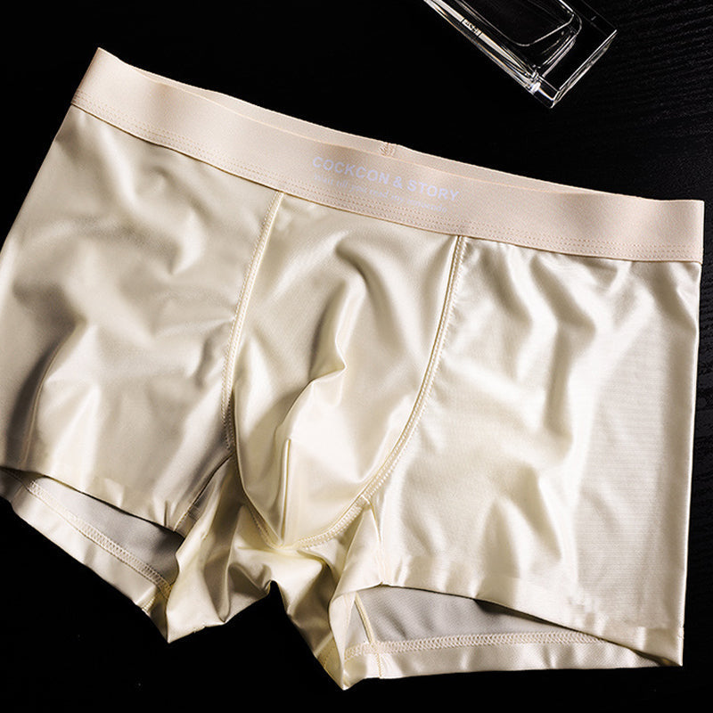🔥🔥Men's Satin Ice Silk Briefs