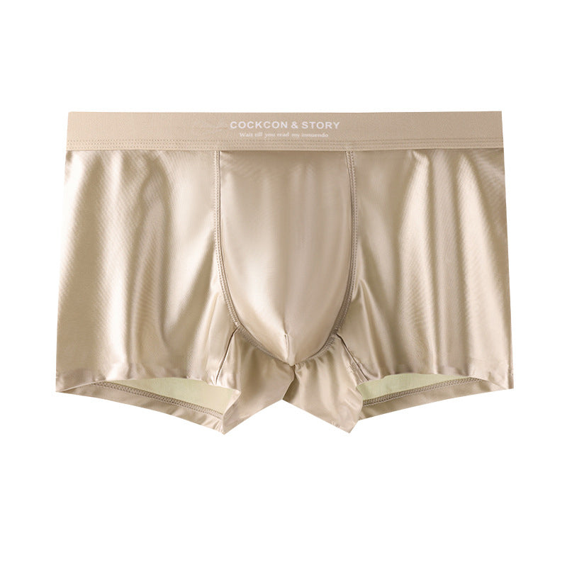🔥🔥Men's Satin Ice Silk Briefs