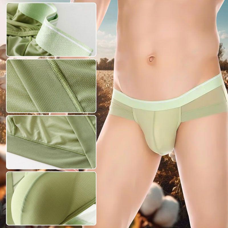 Great Sale🔥Men's Breathable Mesh Ice Silk Briefs