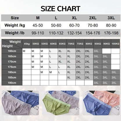 Great Sale🔥Men's Breathable Mesh Ice Silk Briefs