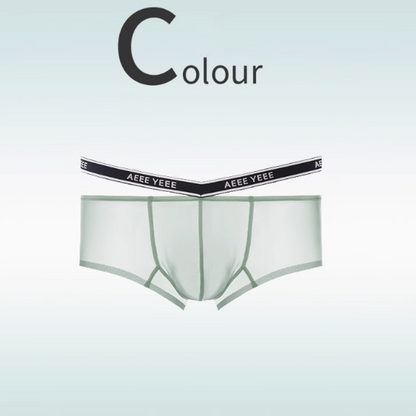 Men's Ice Silk Sheer Underpants