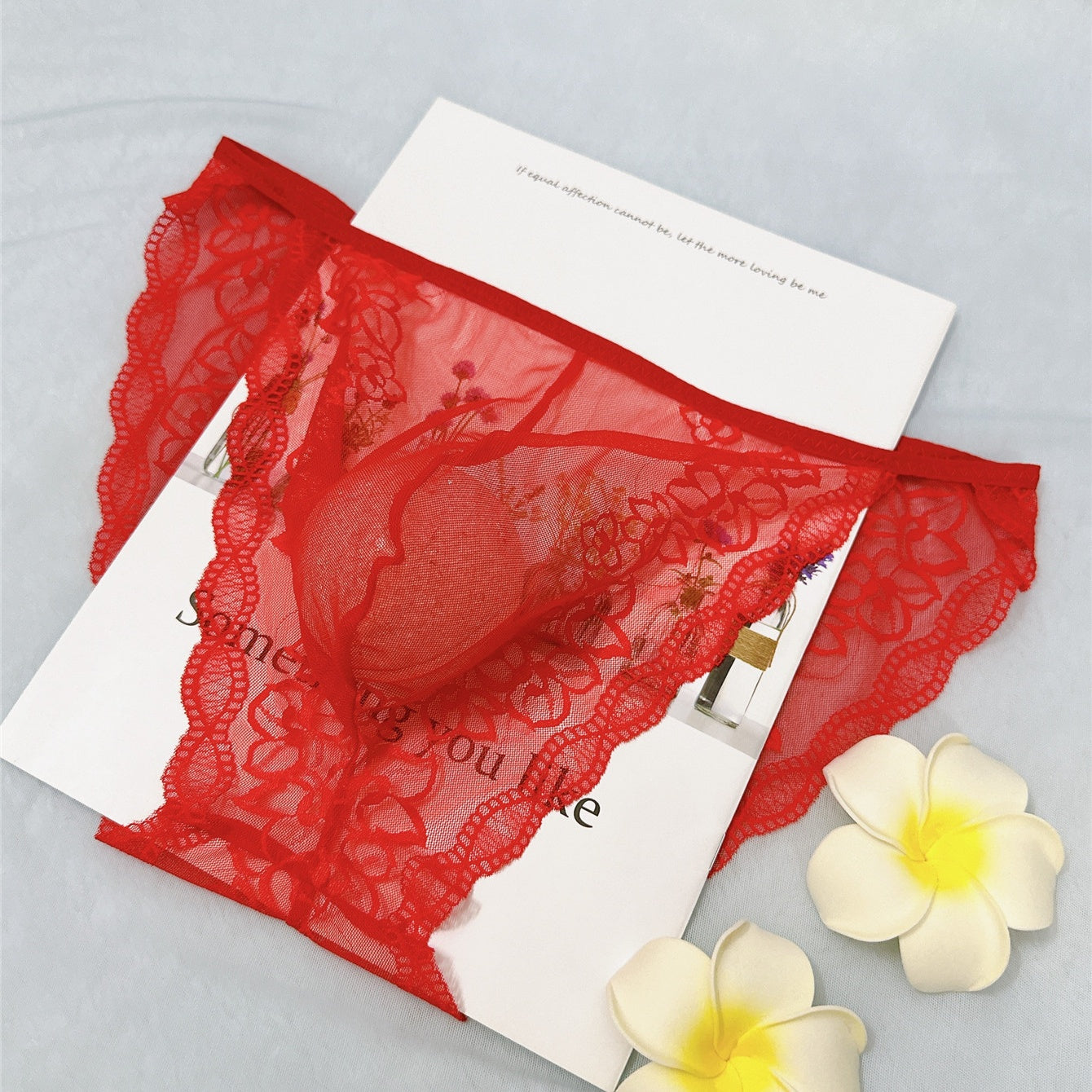 Men’s Sexy Lace See Through Sheer Briefs