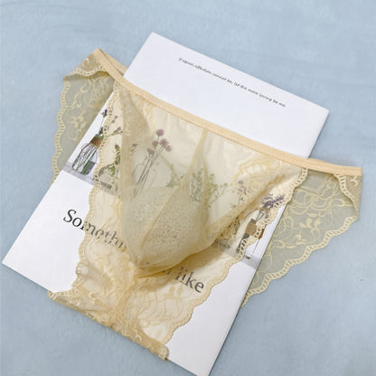 Men’s Sexy Lace See Through Sheer Briefs