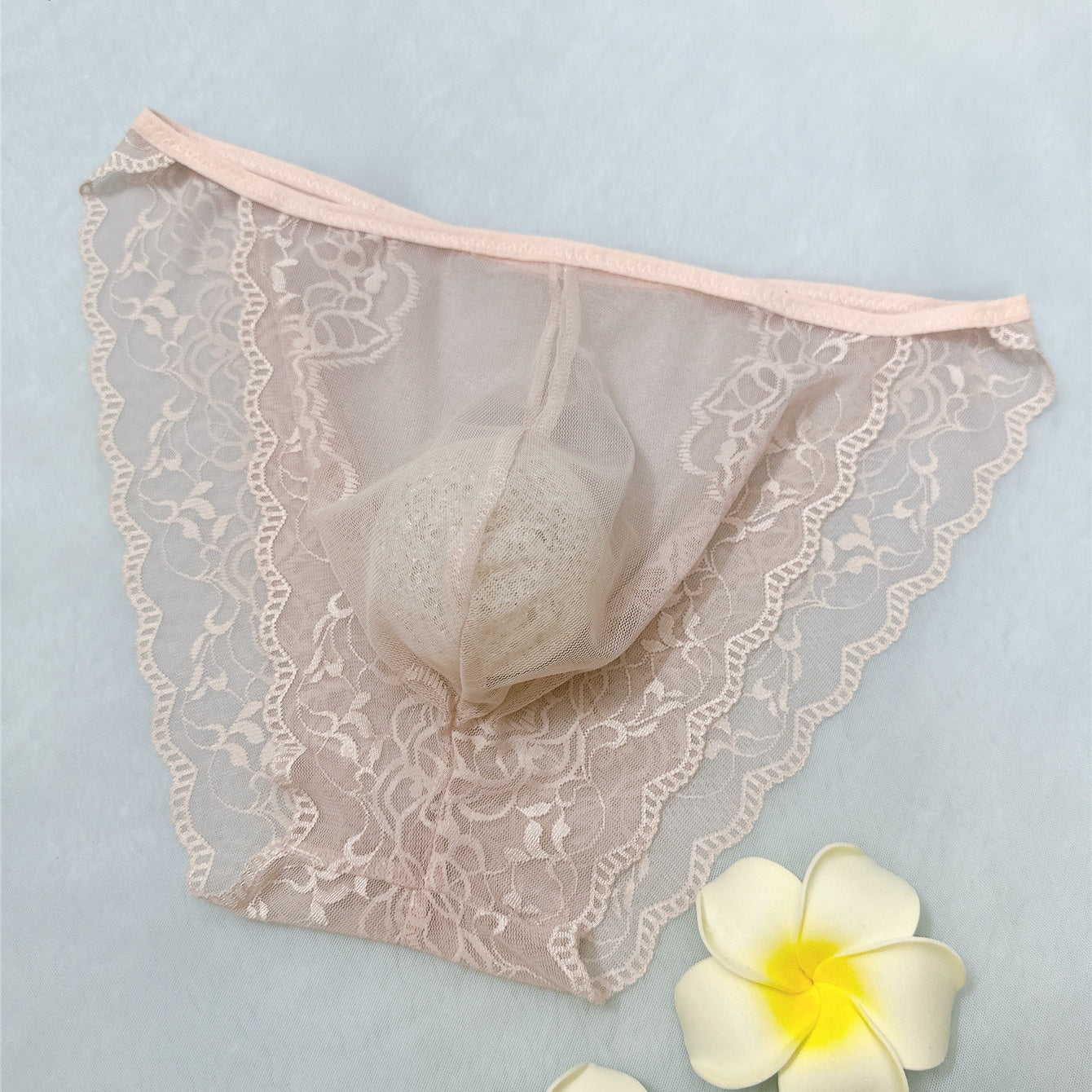 Men’s Sexy Lace See Through Sheer Briefs